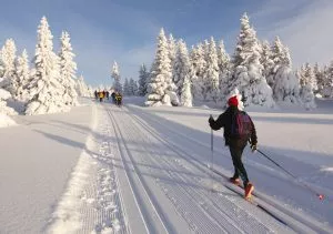 Glid på skidor genom Sloveniens spännande vinterlandskap