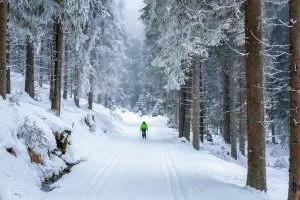 Lorsque la neige tombe, la Slovénie offre de nombreuses possibilités de ski de fond.