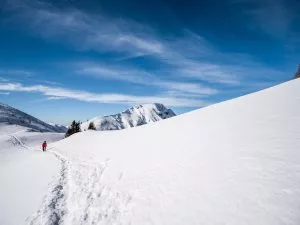 Snowy paths in Triglav National Park