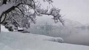 Invierno en Bled
